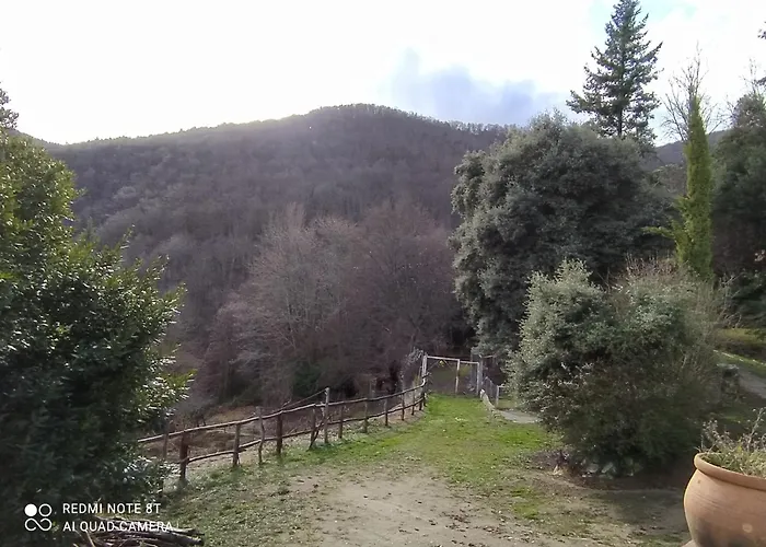 Hostal El Buxaus De La Muntanya Arbúcies